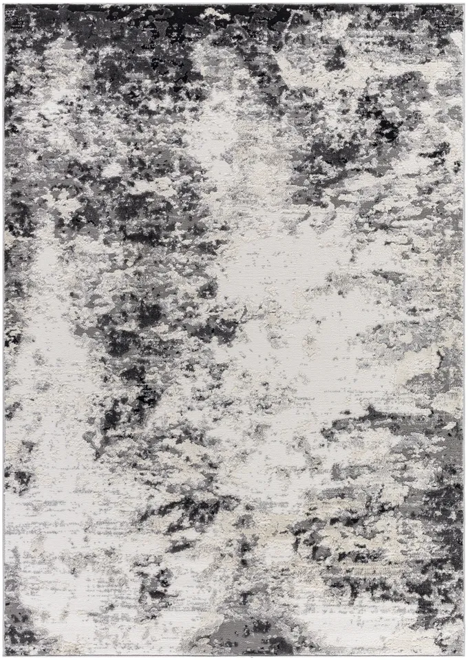 Siyah White Indoor 7'10" x 10' Machine Woven Rug