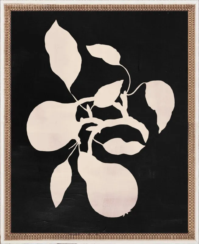 pears black and white by Ruti Shaashua for Artfully Walls