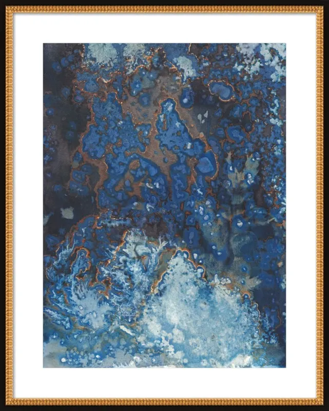 The Secret Life of Rockpools No. 27/100 by Desiree Elizabeth Malan for Artfully Walls
