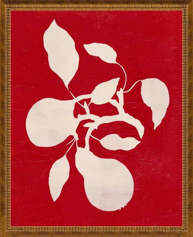 pears by Ruti Shaashua for Artfully Walls