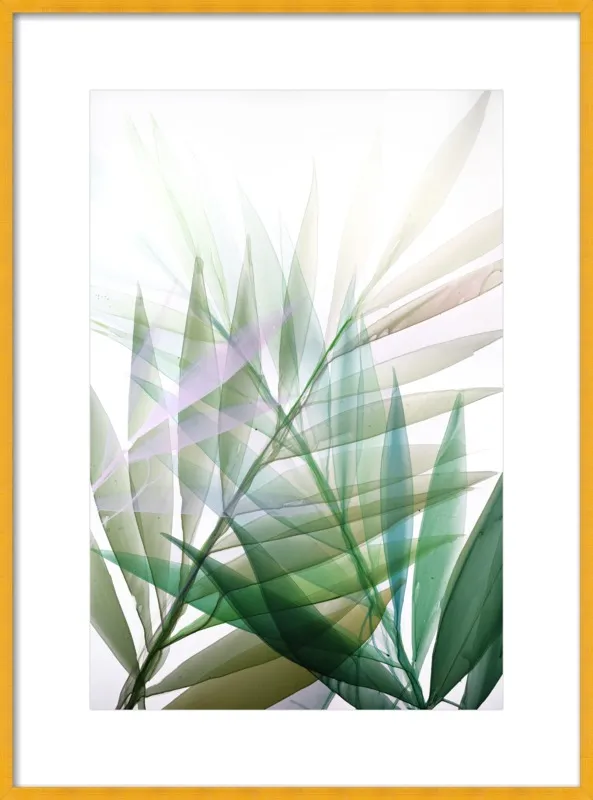 Tropical Study no. 8 by Marina Dunbar  for Artfully Walls