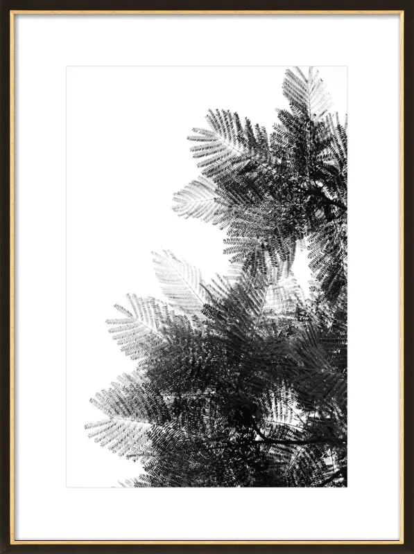 The Tree Top I by Tal Paz-Fridman for Artfully Walls