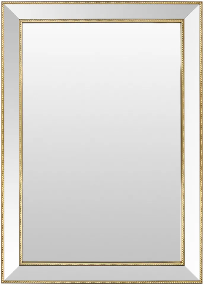Constantine Gold 43"H x 31"W x 1"D Accent Mirror