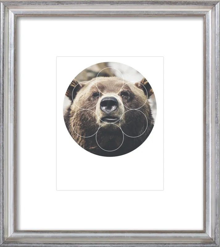 Big Bear Buddy - Geometric Photography by Emiliano Deificus for Artfully Walls