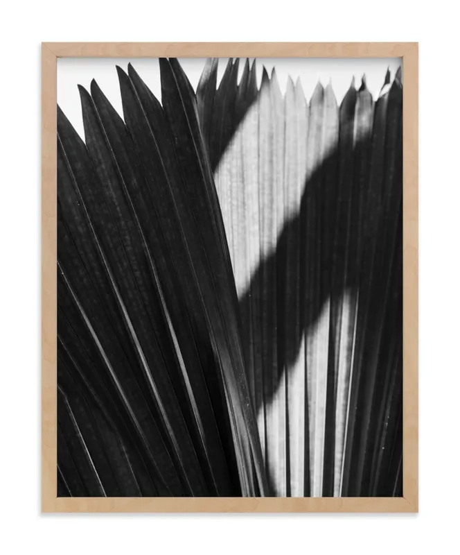 Palmery 2 Limited Edition Fine Art Print
