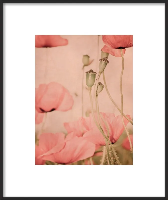 dreaming by Iris Lehnhardt for Artfully Walls