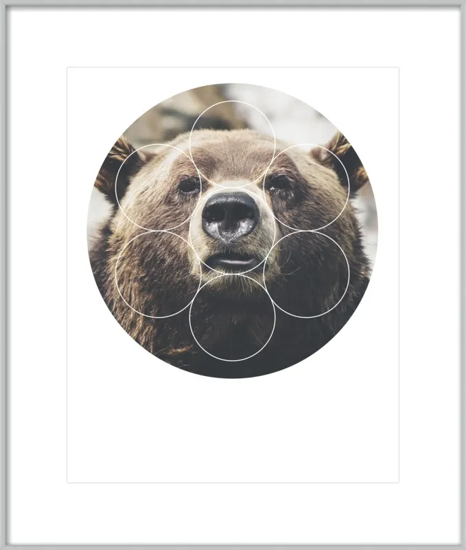 Big Bear Buddy - Geometric Photography by Emiliano Deificus for Artfully Walls
