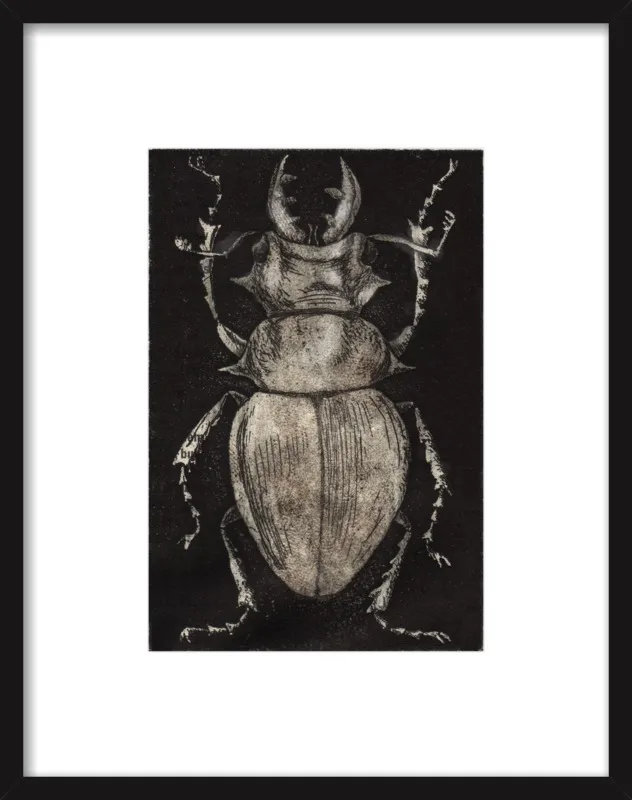 Grey Beetle on Black by Tennopent Sooster for Artfully Walls