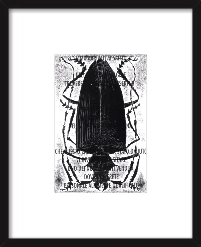 Black Beetle on Words by Tennopent Sooster for Artfully Walls
