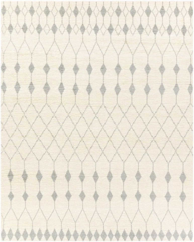 Beni Ourain Beige Indoor 8'10" x 12' Handmade Rug