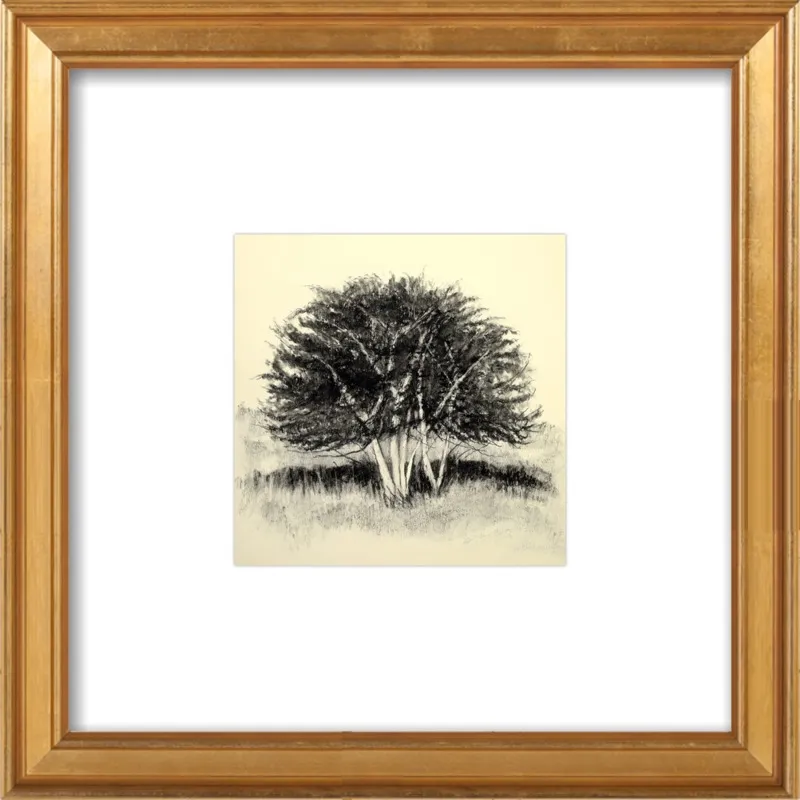 Old Apple Tree by Rich Gombar for Artfully Walls