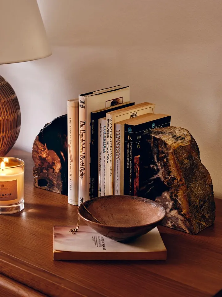 Balfern Petrified Wood Bookends