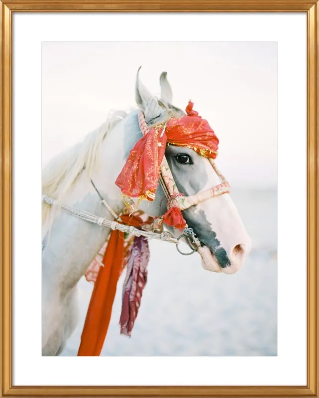 Marwari by Andrew Jacona for Artfully Walls