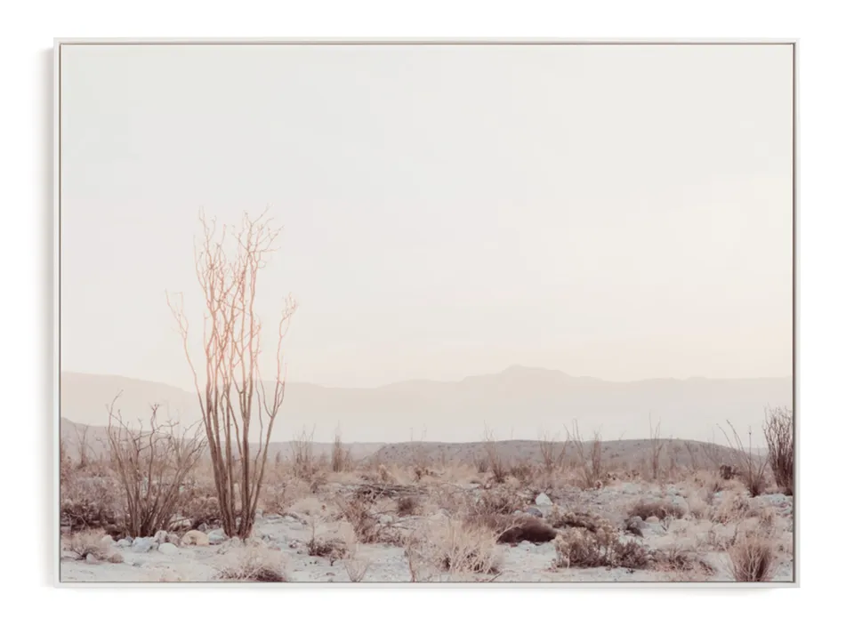 Ocotillo II Limited Edition Fine Art Print