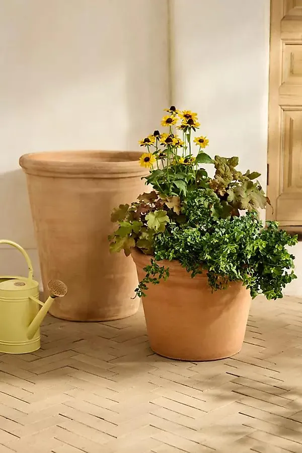 Outdoor Bergs Flora Terracotta Pot, Rose