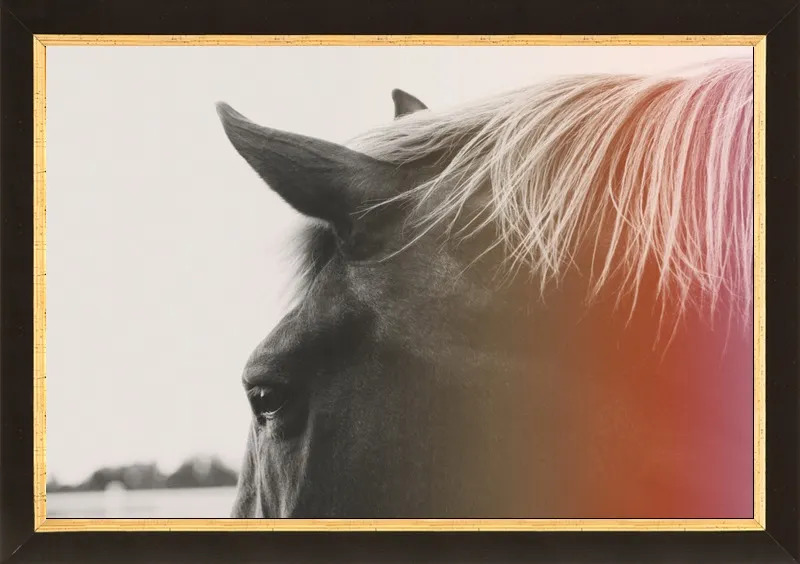 Pink Pony by Alicia Bock for Artfully Walls