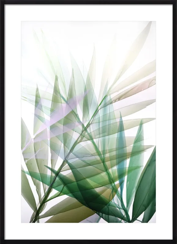 Tropical Study no. 8 by Marina Dunbar  for Artfully Walls