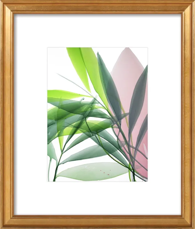 Tropical Study no. 15 by Marina Dunbar  for Artfully Walls