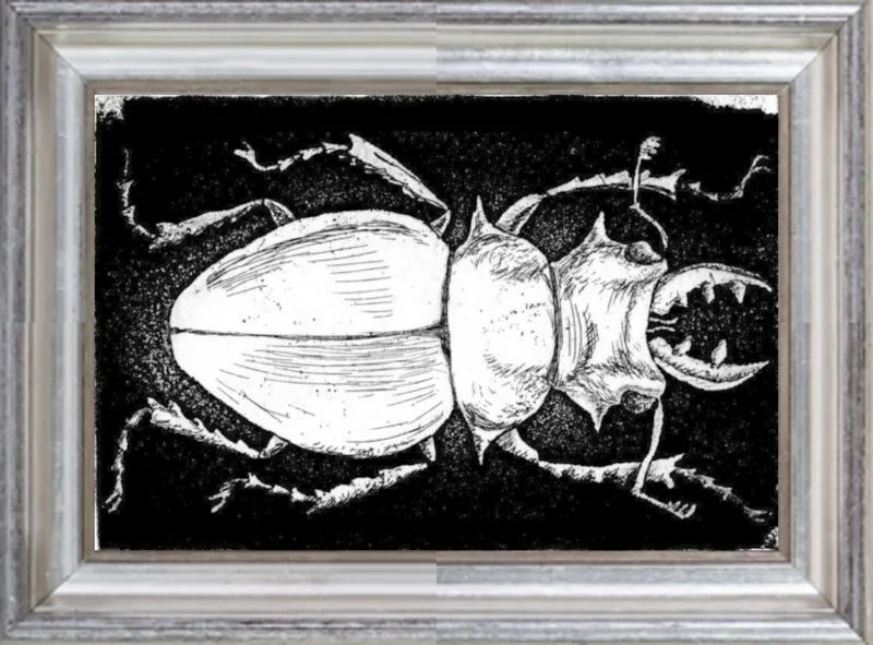White Beetle on Black by Tennopent Sooster for Artfully Walls