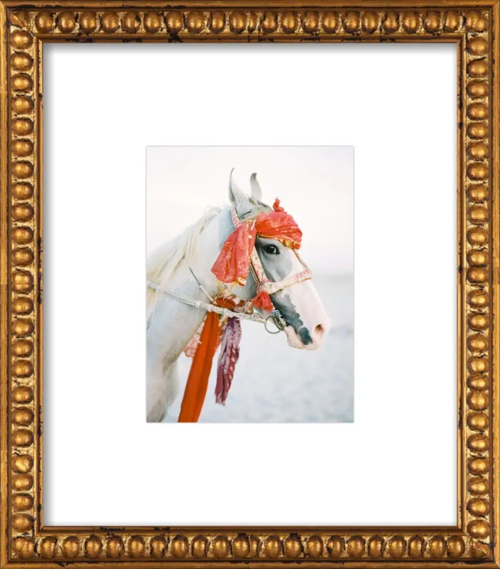 Marwari by Andrew Jacona for Artfully Walls
