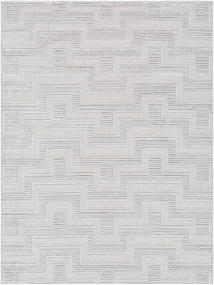 Wolly White Indoor 7'10" x 10' Machine Woven Rug