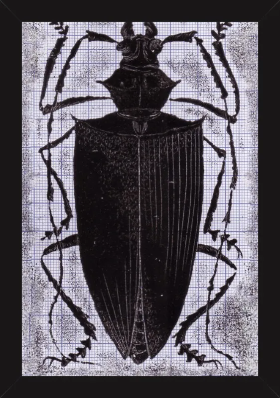 Black Beetle on Grey by Tennopent Sooster for Artfully Walls