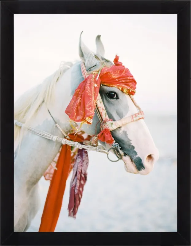 Marwari by Andrew Jacona for Artfully Walls