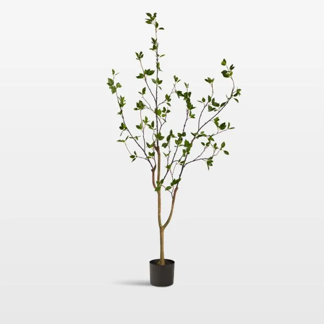 Faux Minimalist Citrus Tree 5'