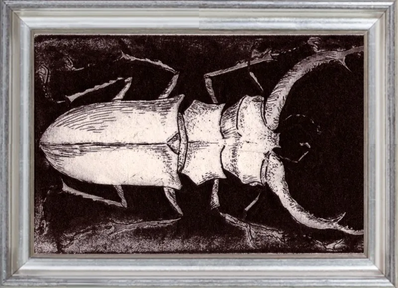 White Beetle on Dark Brown by Tennopent Sooster for Artfully Walls