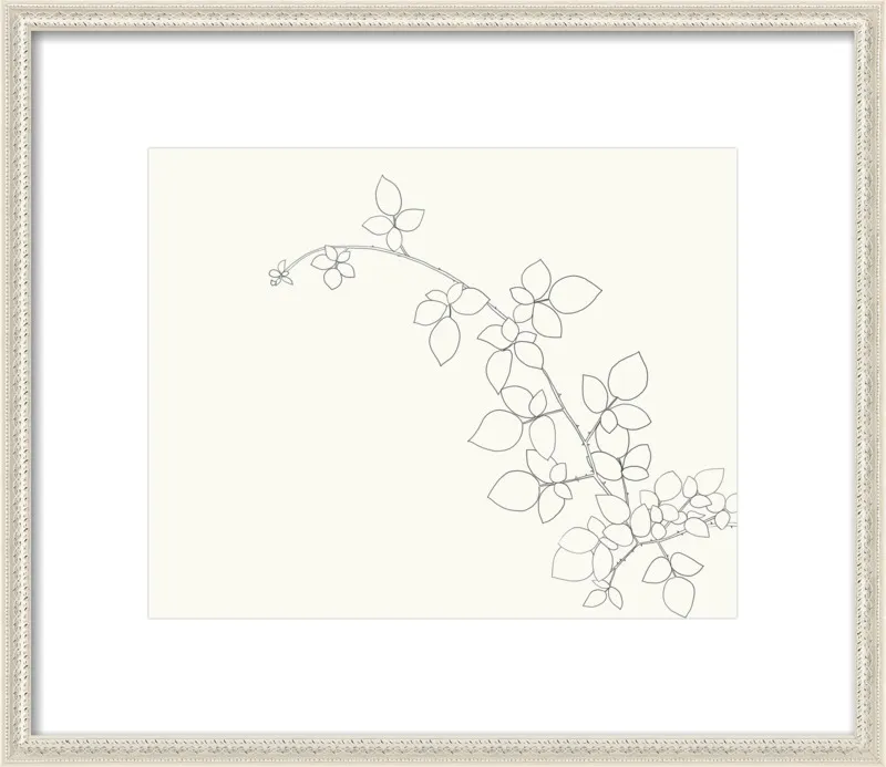 Blackberry  by Jorey Hurley for Artfully Walls
