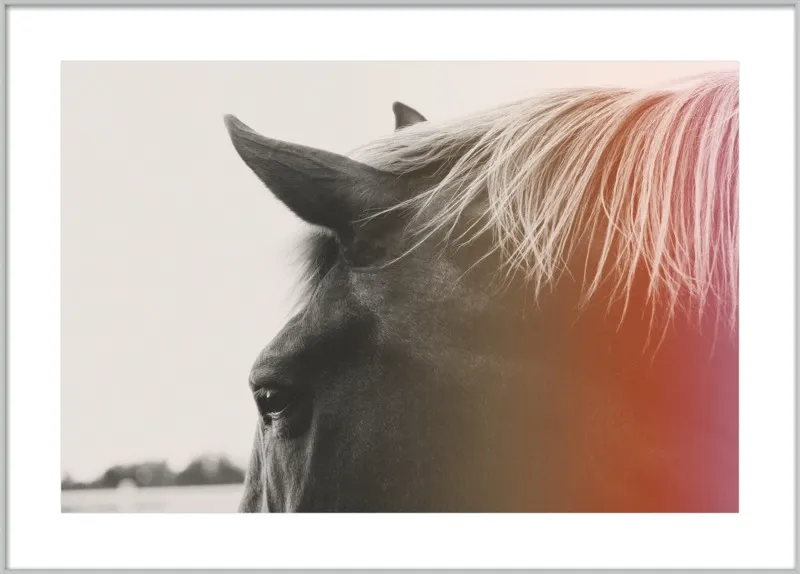 Pink Pony by Alicia Bock for Artfully Walls