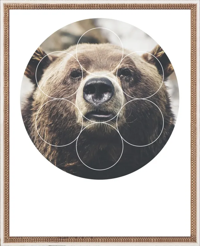 Big Bear Buddy - Geometric Photography by Emiliano Deificus for Artfully Walls