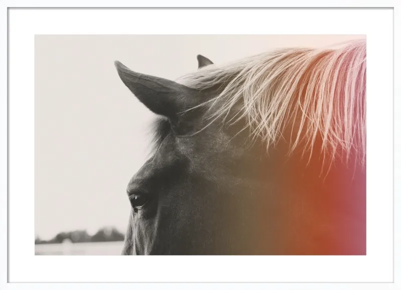 Pink Pony by Alicia Bock for Artfully Walls