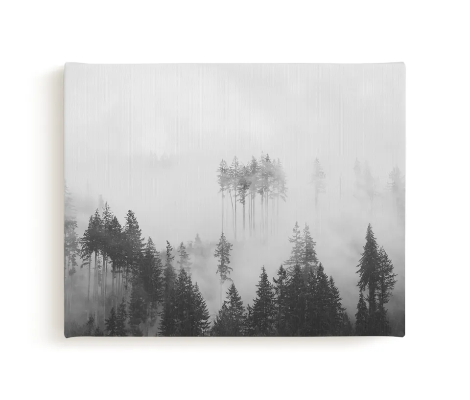 Morning Fog Limited Edition Fine Art Print