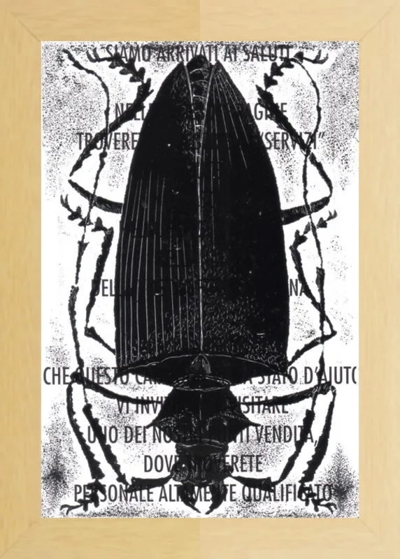 Black Beetle on Words by Tennopent Sooster for Artfully Walls