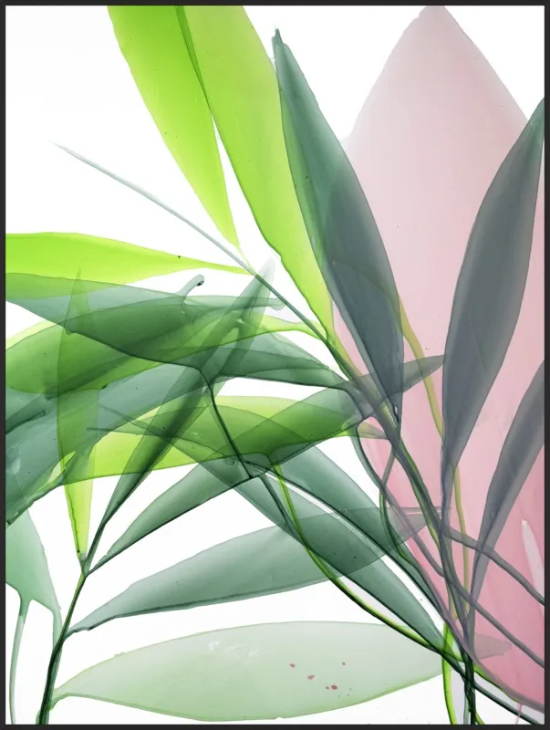 Tropical Study no. 15 by Marina Dunbar  for Artfully Walls