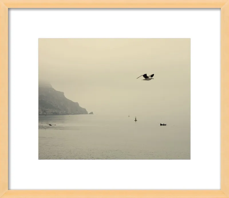 one day I will fly away by Ingrid Beddoes for Artfully Walls