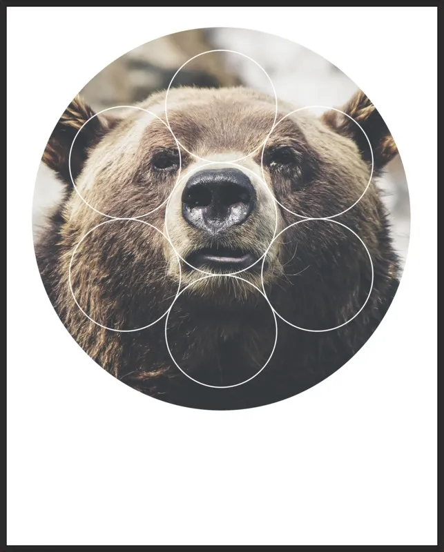 Big Bear Buddy - Geometric Photography by Emiliano Deificus for Artfully Walls