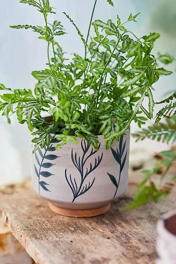 Indigo Floral Footed Planter, 6"