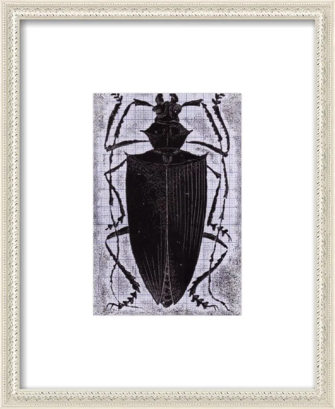 Black Beetle on Grey by Tennopent Sooster for Artfully Walls