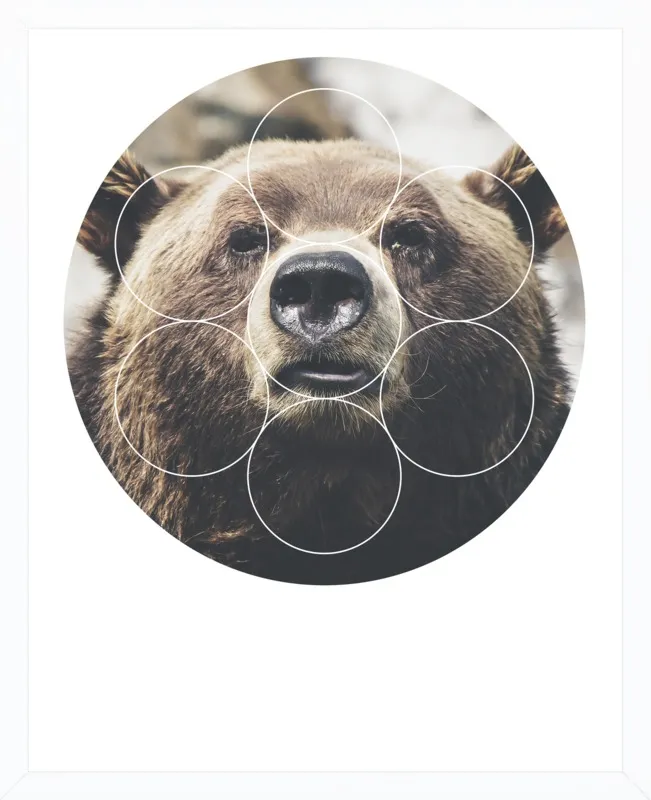 Big Bear Buddy - Geometric Photography by Emiliano Deificus for Artfully Walls