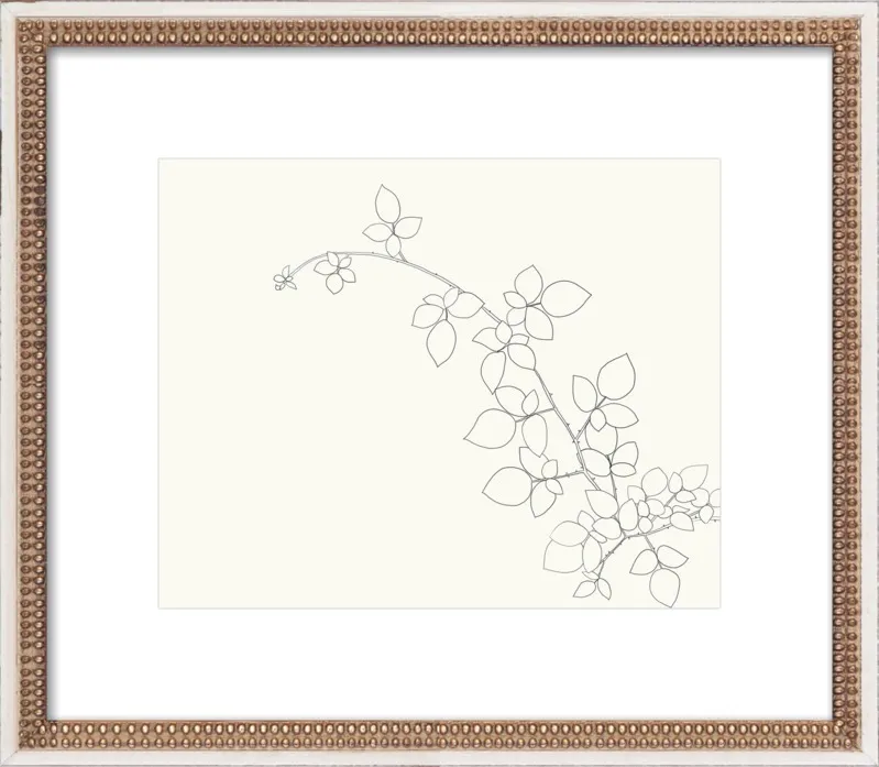 Blackberry  by Jorey Hurley for Artfully Walls