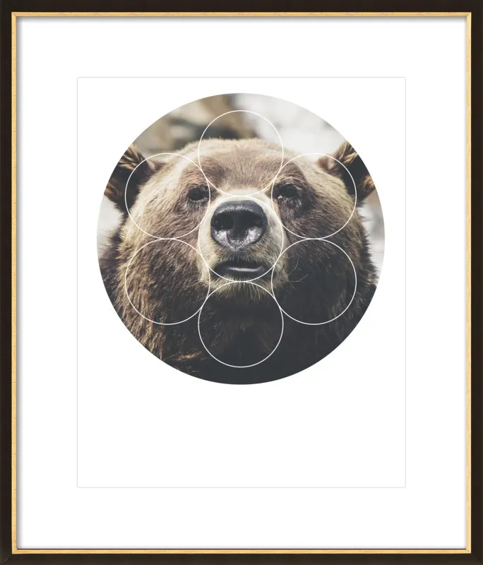 Big Bear Buddy - Geometric Photography by Emiliano Deificus for Artfully Walls
