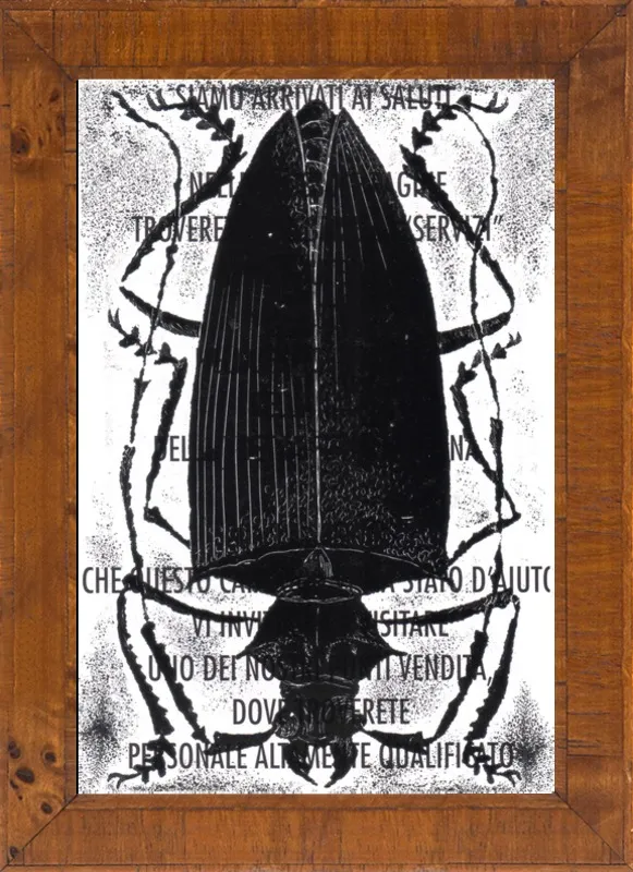 Black Beetle on Words by Tennopent Sooster for Artfully Walls