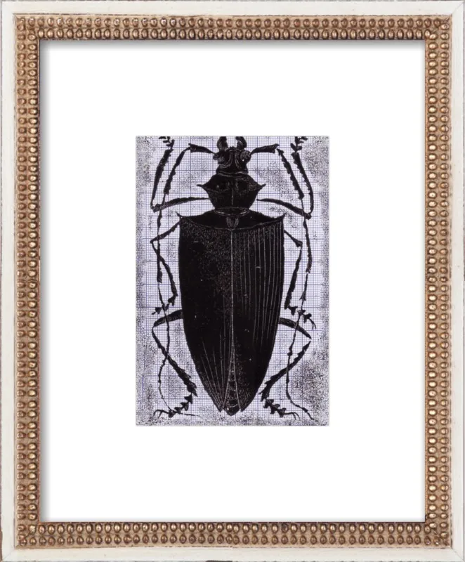 Black Beetle on Grey by Tennopent Sooster for Artfully Walls