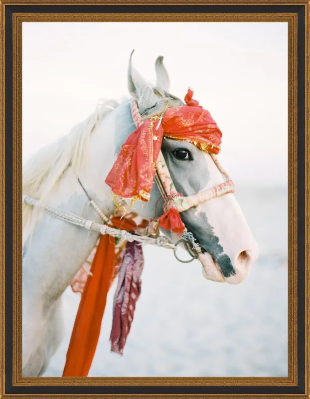 Marwari by Andrew Jacona for Artfully Walls