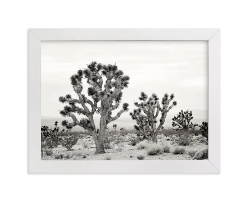 Joshua Tree Limited Edition Fine Art Print