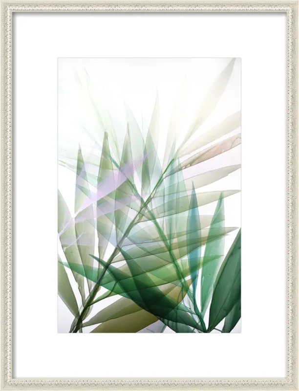 Tropical Study no. 8 by Marina Dunbar  for Artfully Walls