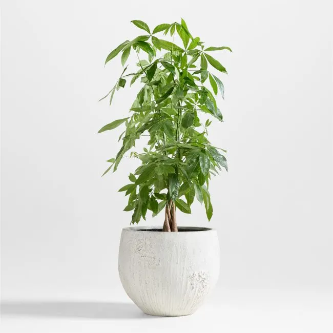 Messina White Textured Indoor/Outdoor Planter 21"x21"