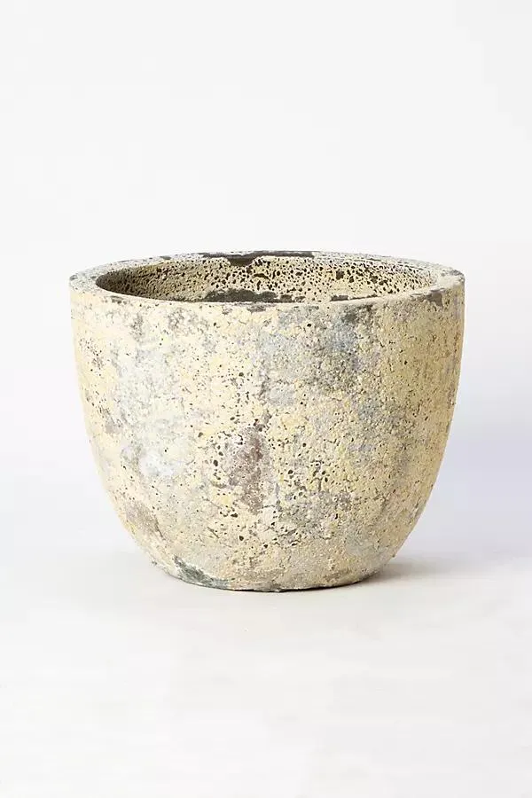 Barnacle Low Egg Pot
